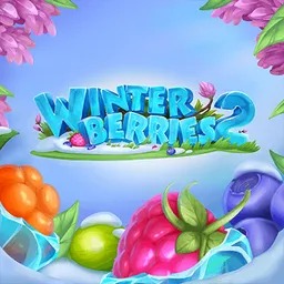Winterberries 2